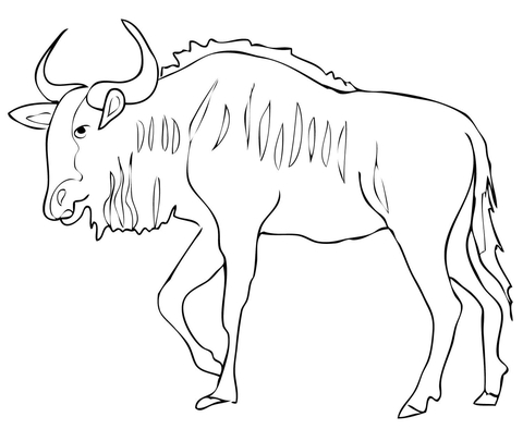 Gnu Antelope Blue Wildebeest  Coloring Page